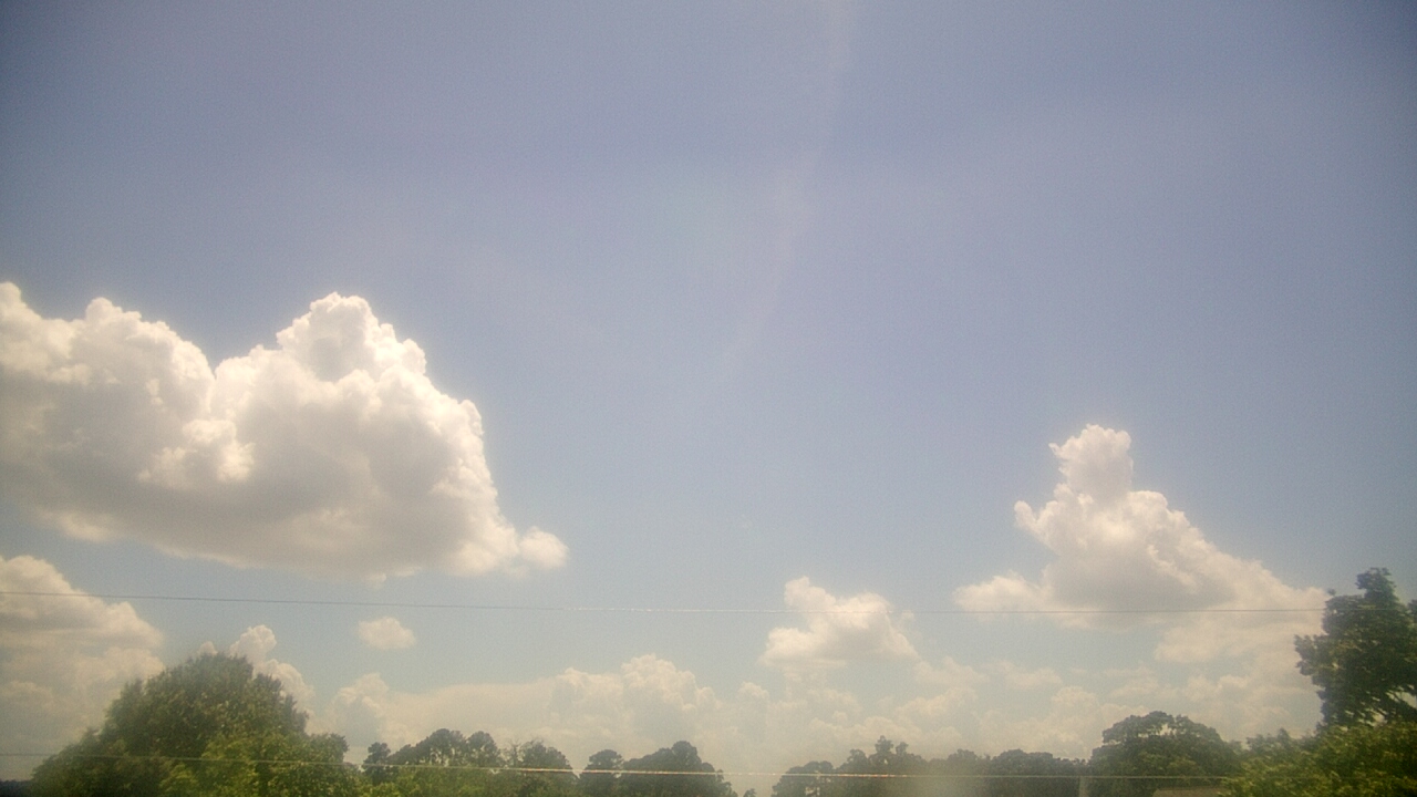 Thumbnail for current weather camera view from Benson NC in Benson, North Carolina