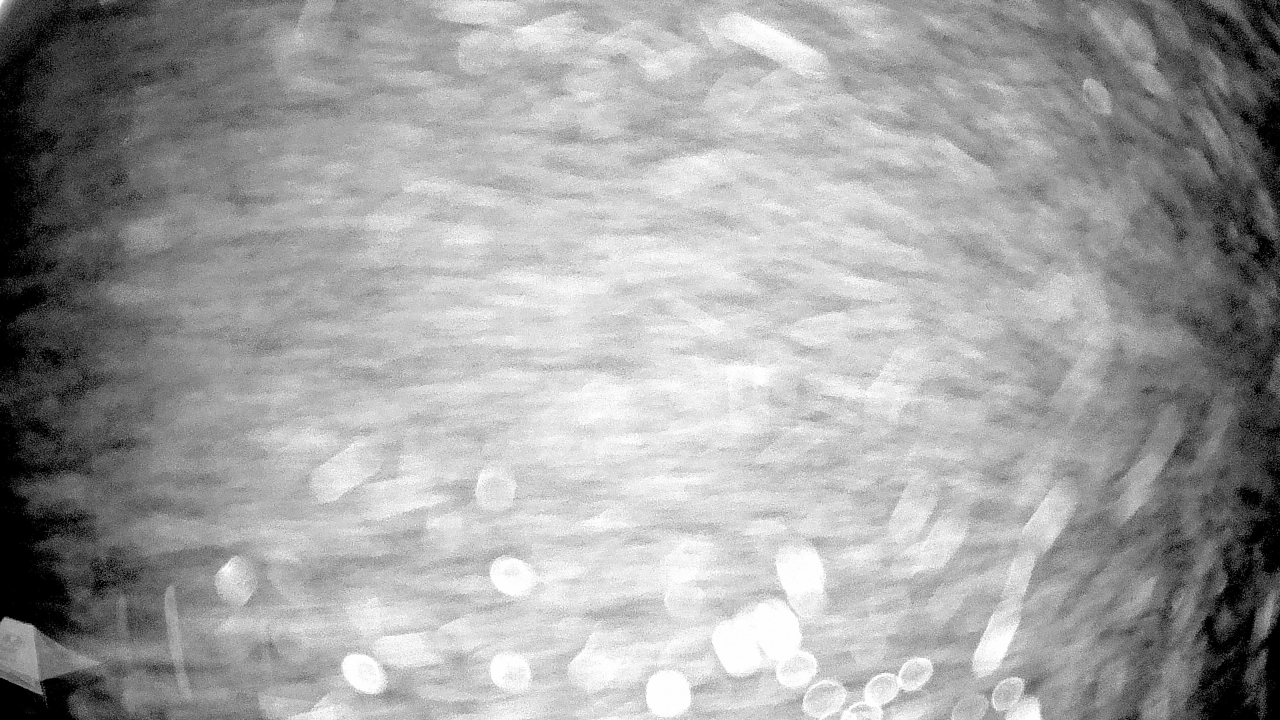 Thumbnail for current weather camera view from Truist Sports Park in Advance, North Carolina