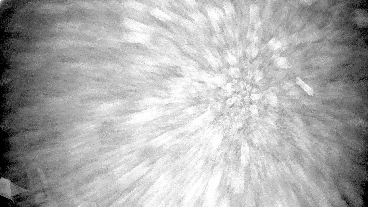 Thumbnail for current weather camera view from Truist Sports Park in Advance, North Carolina