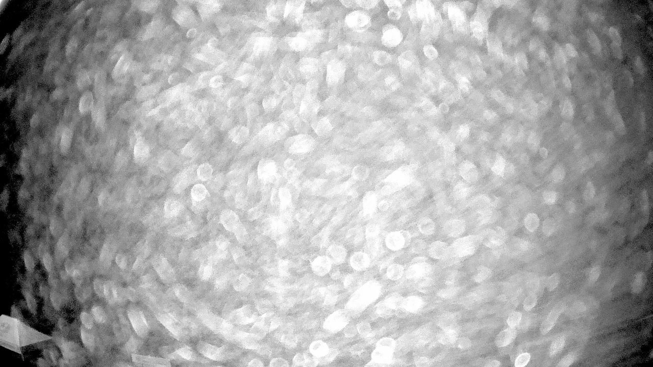 Thumbnail for current weather camera view from Truist Sports Park in Advance, North Carolina