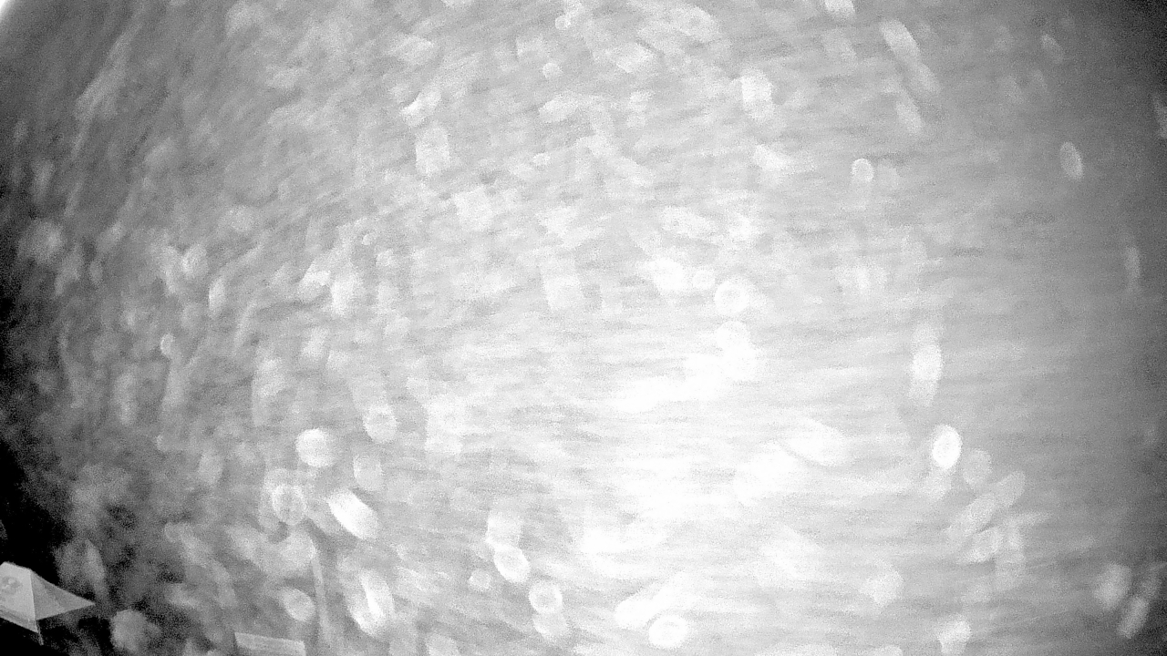 Thumbnail for current weather camera view from Truist Sports Park in Advance, North Carolina