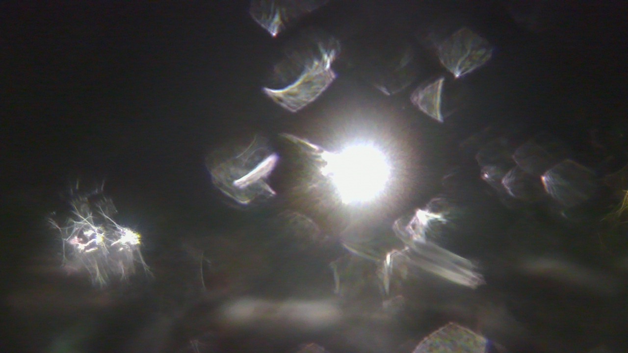 Thumbnail for current weather camera view from Boone Scenic Valley Railroad in Boone, Iowa