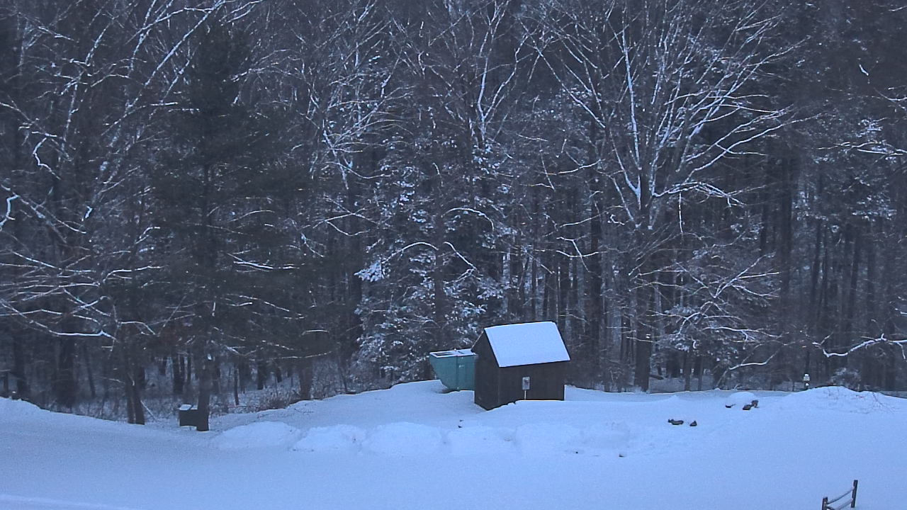 Thumbnail for current weather camera view from John Dorr Nature Lab-Horace Mann School in Washington, Connecticut
