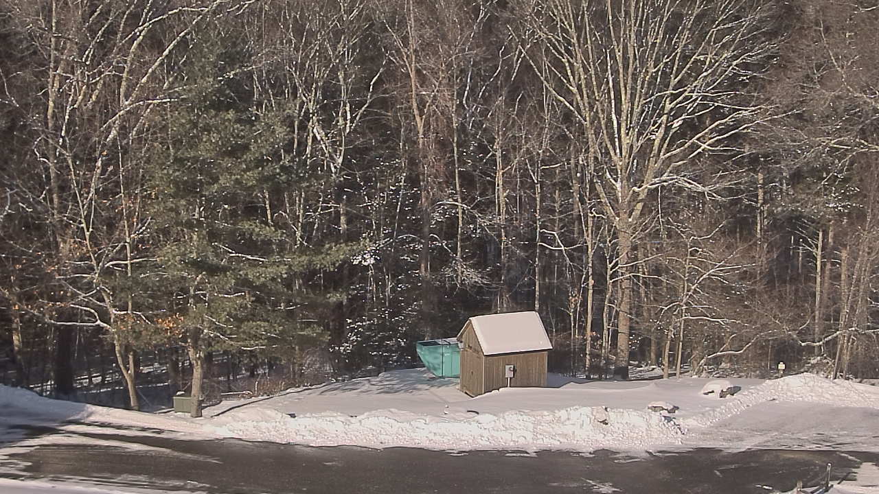 Thumbnail for current weather camera view from John Dorr Nature Lab-Horace Mann School in Washington, Connecticut