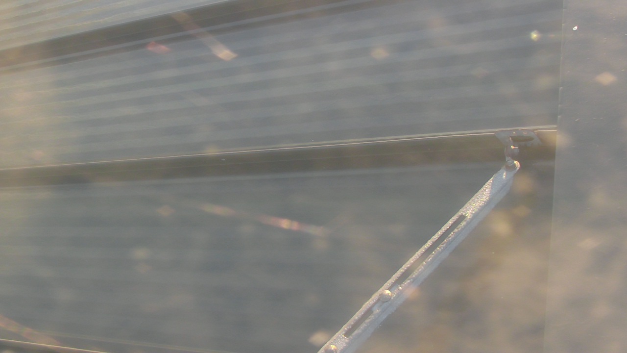 Thumbnail for current weather camera view from Pirates Bay Water Park in Baytown, Texas