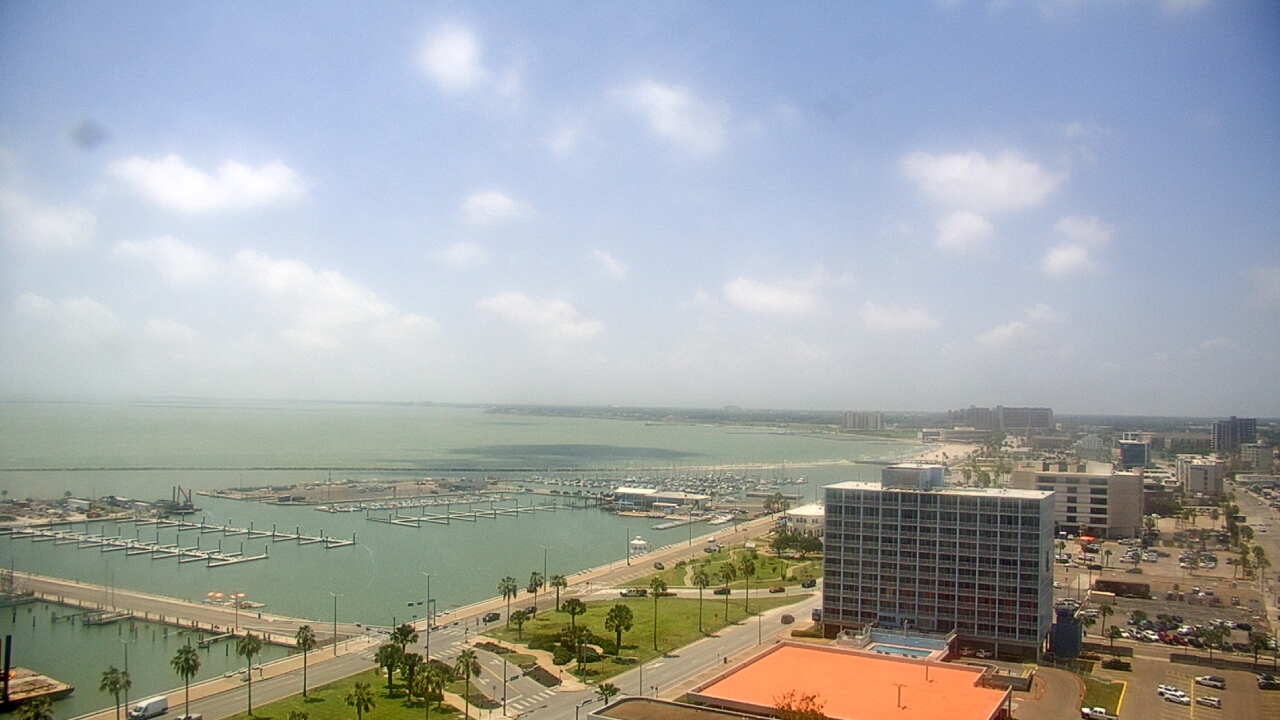 Thumbnail for current weather camera view from First Community Bank in Corpus Christi, Texas