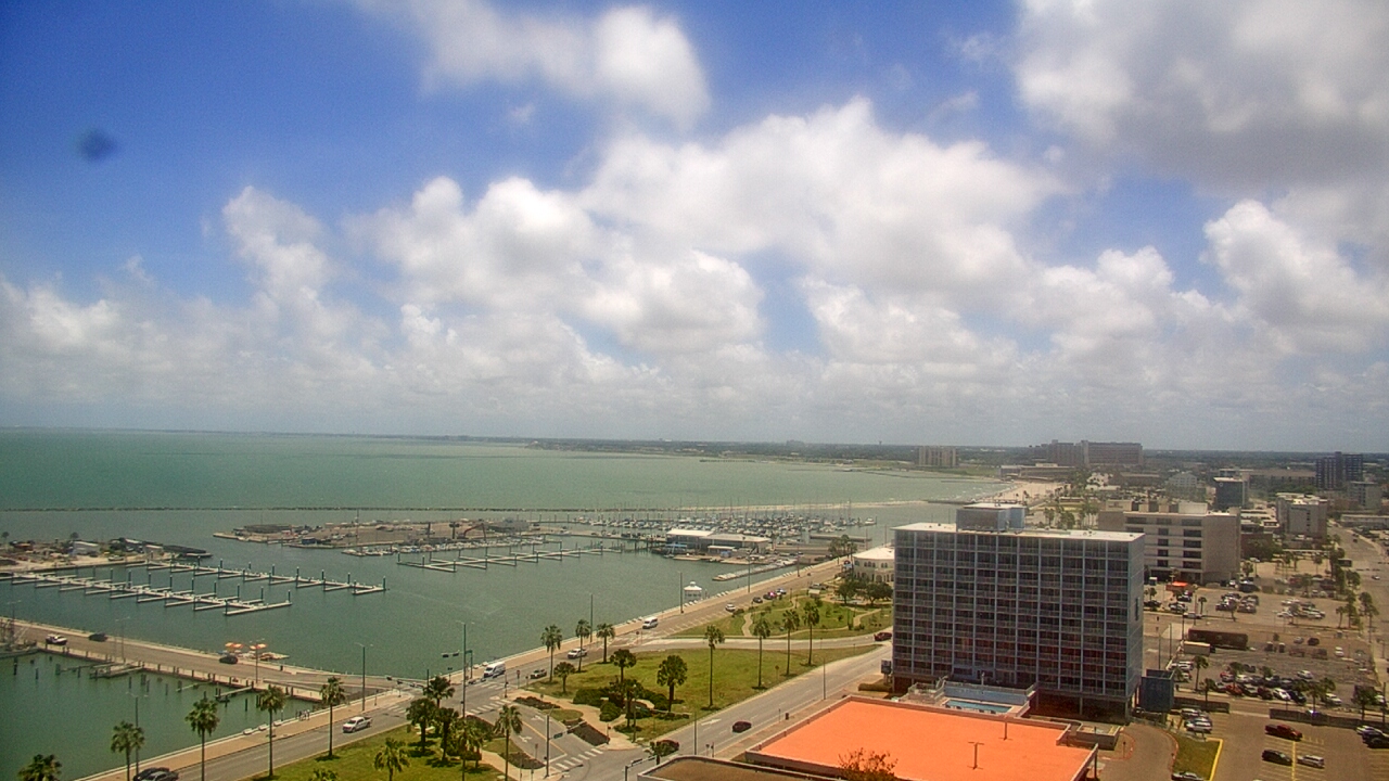 Thumbnail for current weather camera view from First Community Bank in Corpus Christi, Texas