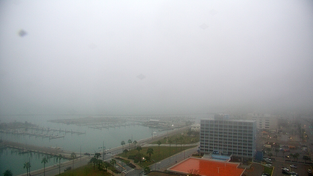 Thumbnail for current weather camera view from First Community Bank in Corpus Christi, Texas