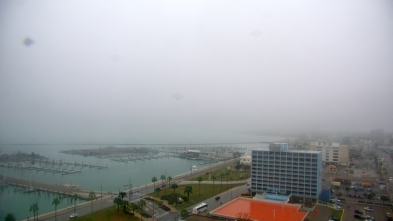 Thumbnail for current weather camera view from First Community Bank in Corpus Christi, Texas