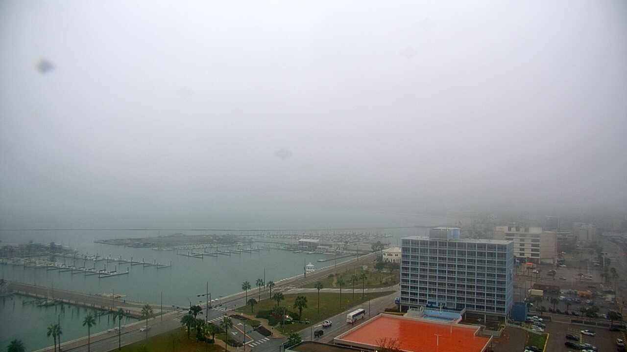 Thumbnail for current weather camera view from First Community Bank in Corpus Christi, Texas