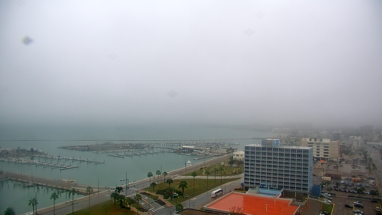 Thumbnail for current weather camera view from First Community Bank in Corpus Christi, Texas