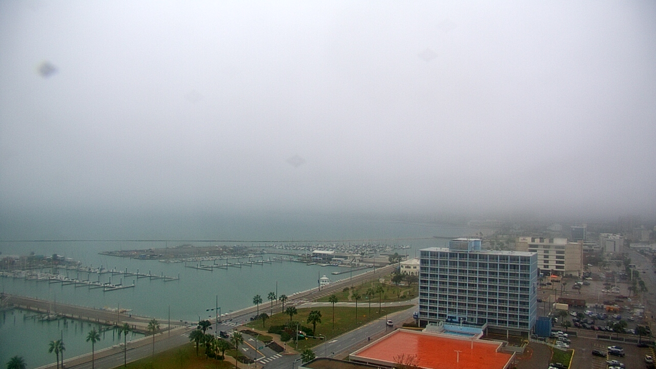 Thumbnail for current weather camera view from First Community Bank in Corpus Christi, Texas
