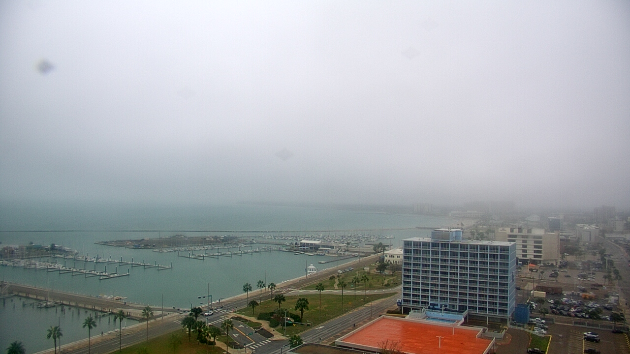 Thumbnail for current weather camera view from First Community Bank in Corpus Christi, Texas