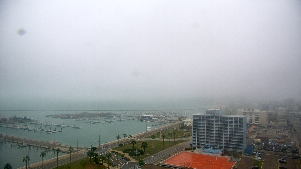 Thumbnail for current weather camera view from First Community Bank in Corpus Christi, Texas