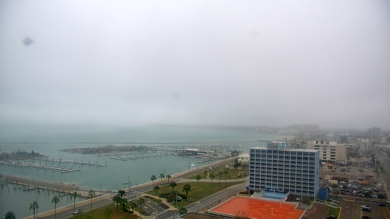 Thumbnail for current weather camera view from First Community Bank in Corpus Christi, Texas