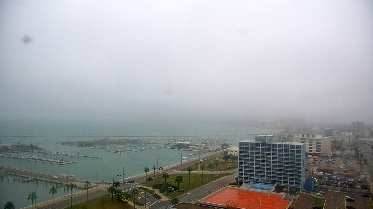 Thumbnail for current weather camera view from First Community Bank in Corpus Christi, Texas