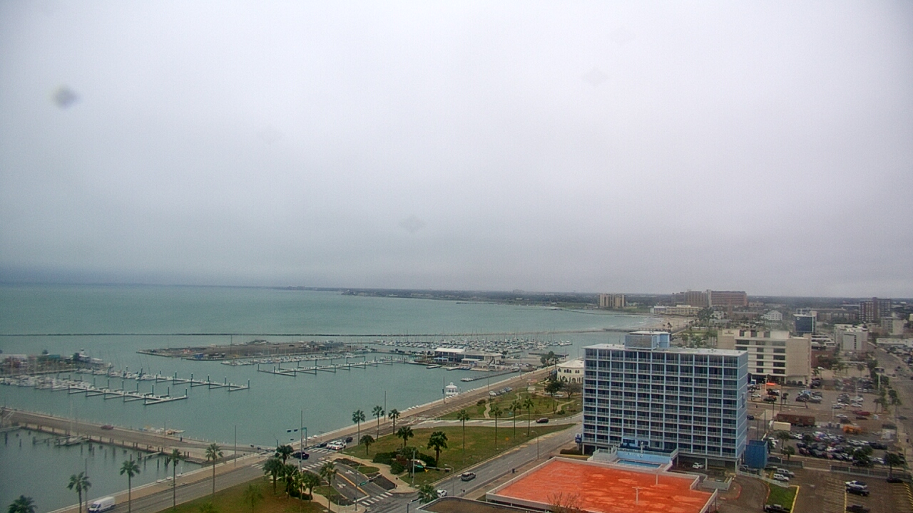 Thumbnail for current weather camera view from First Community Bank in Corpus Christi, Texas