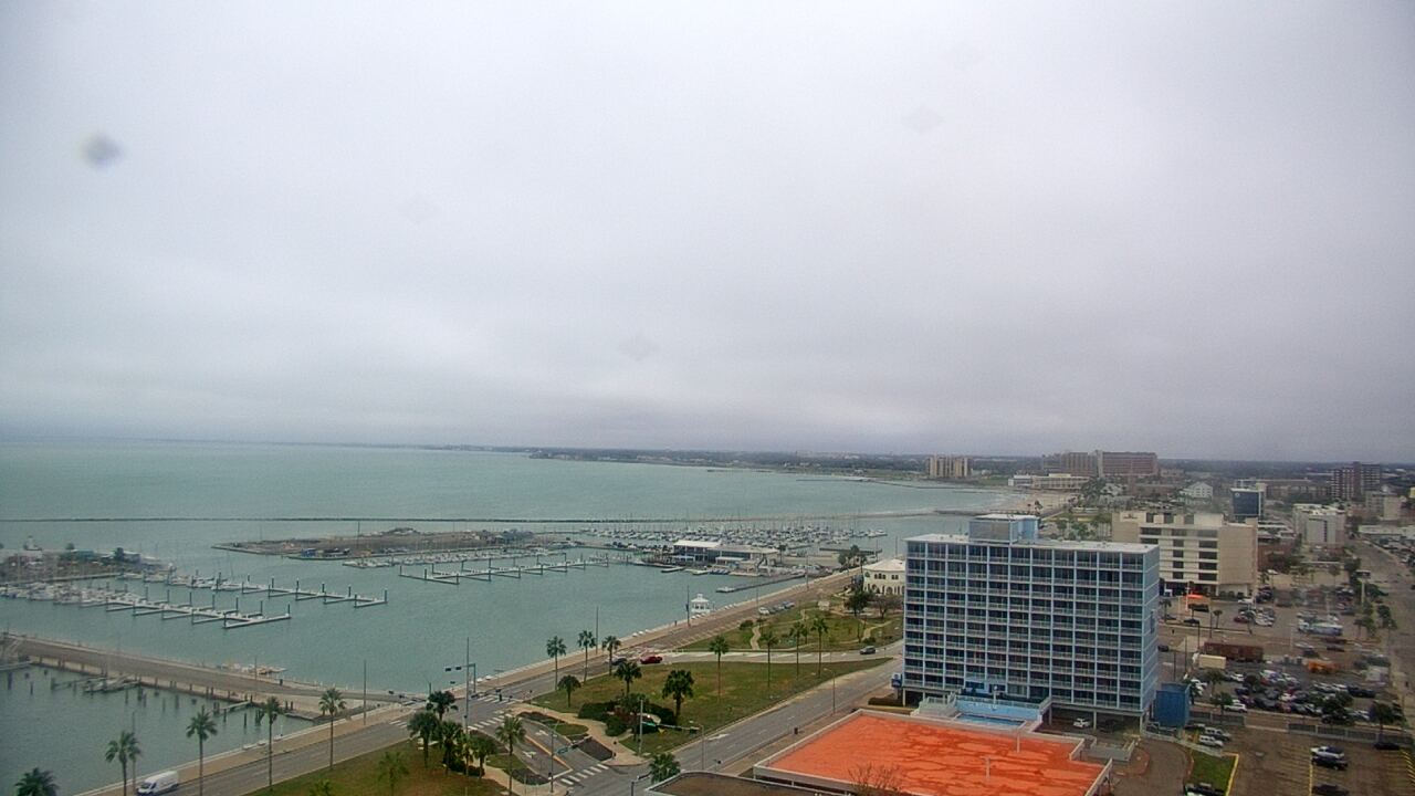Thumbnail for current weather camera view from First Community Bank in Corpus Christi, Texas