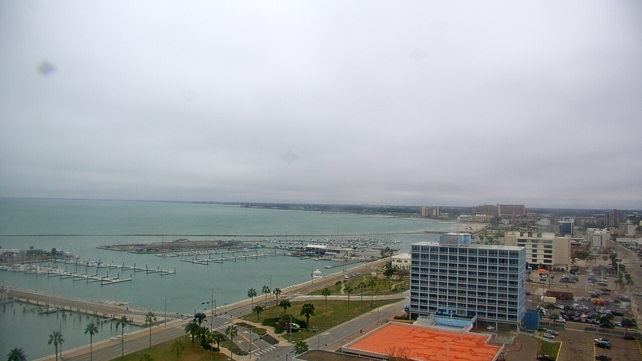 Thumbnail for current weather camera view from First Community Bank in Corpus Christi, Texas