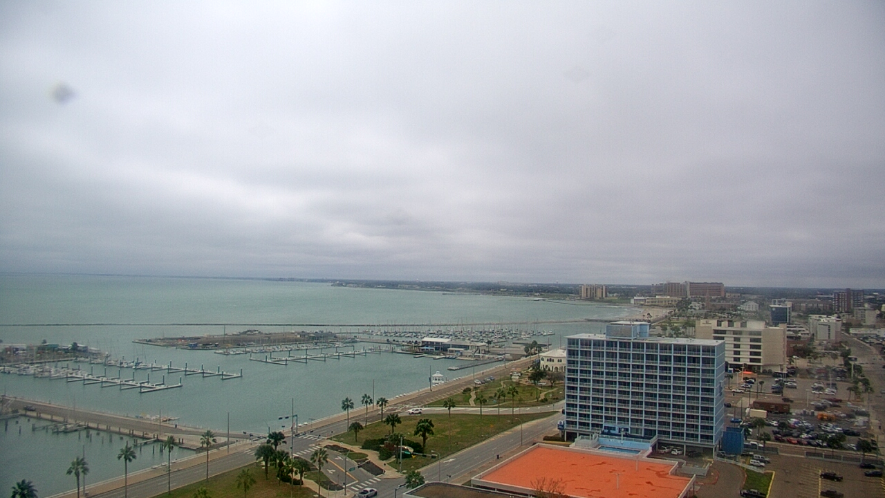 Thumbnail for current weather camera view from First Community Bank in Corpus Christi, Texas