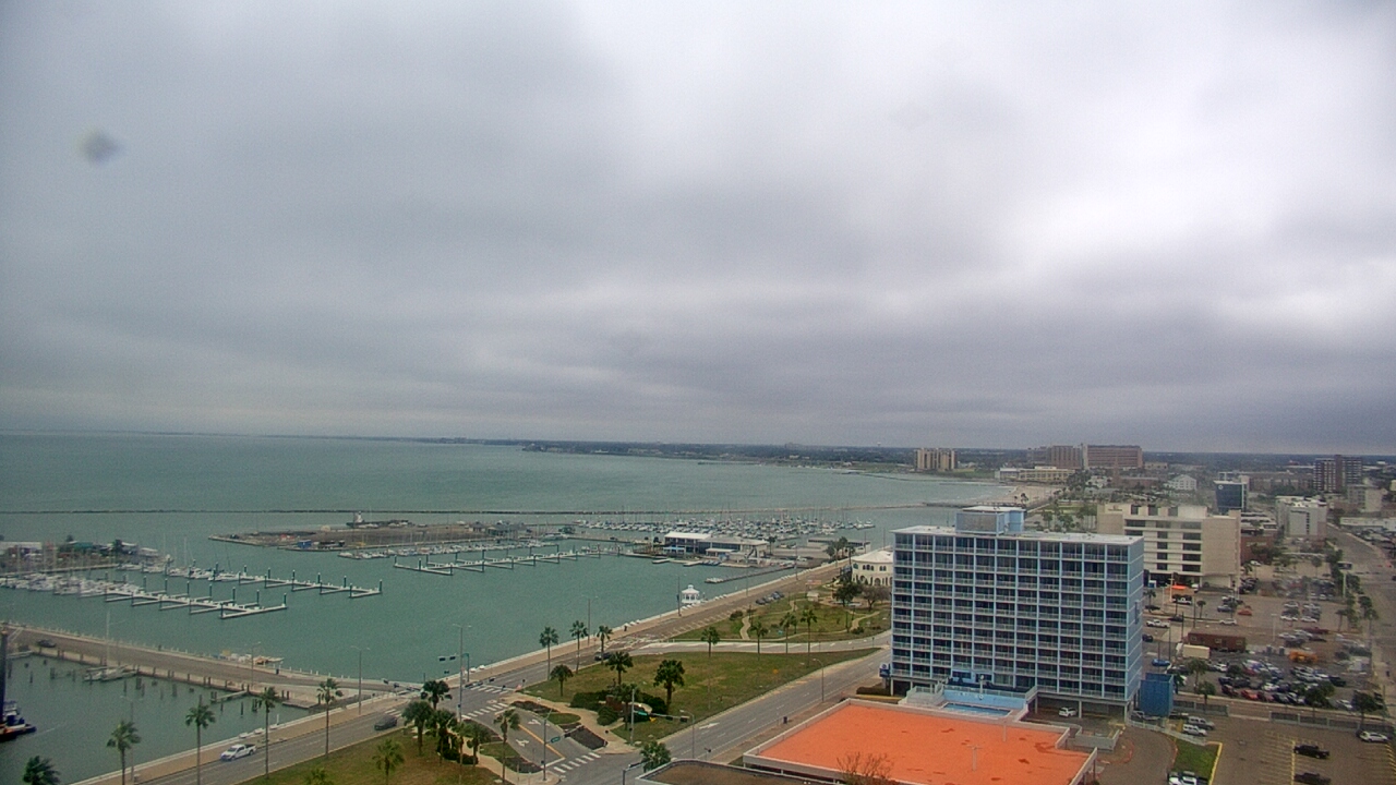 Thumbnail for current weather camera view from First Community Bank in Corpus Christi, Texas