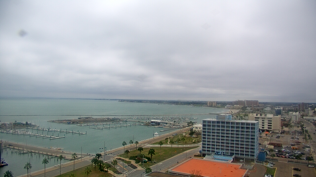 Thumbnail for current weather camera view from First Community Bank in Corpus Christi, Texas