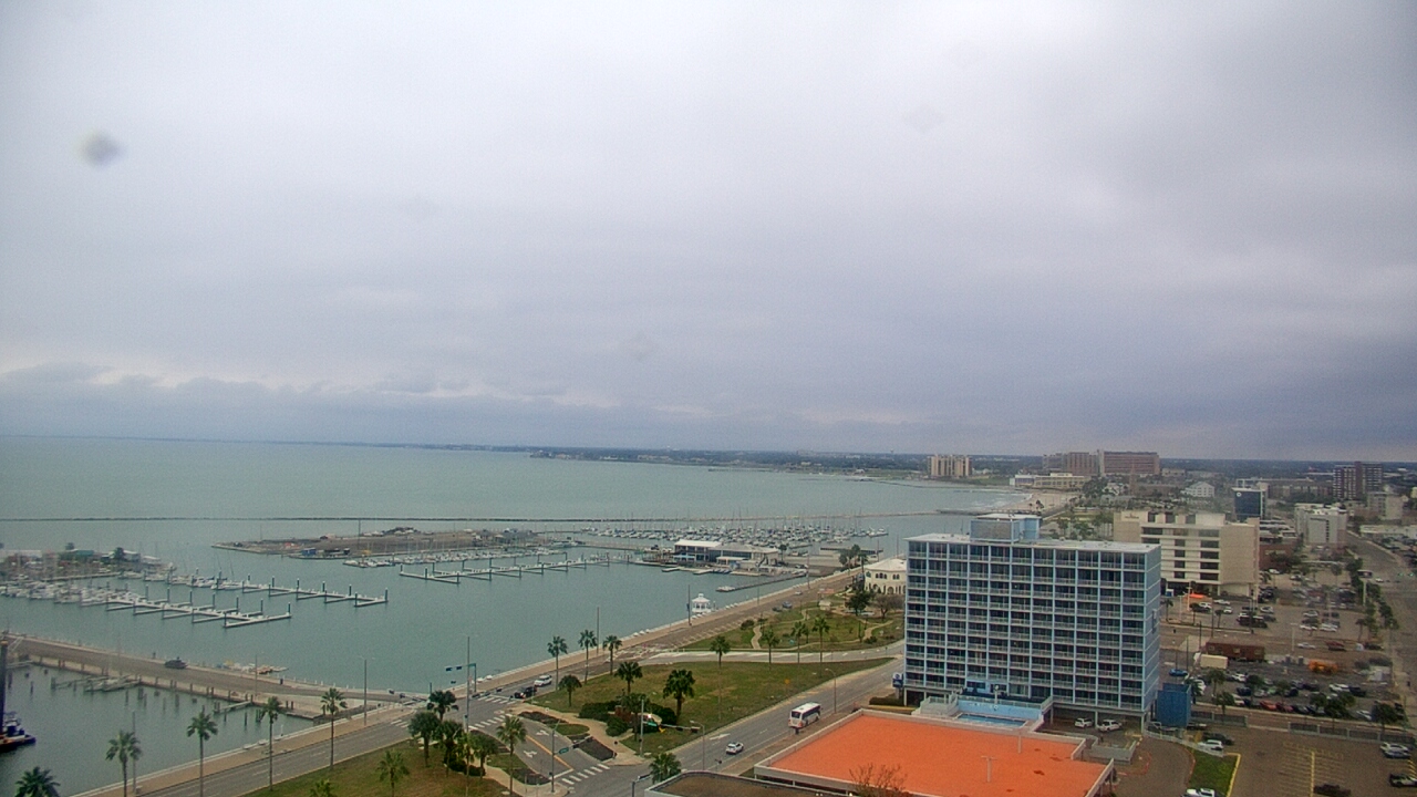 Thumbnail for current weather camera view from First Community Bank in Corpus Christi, Texas