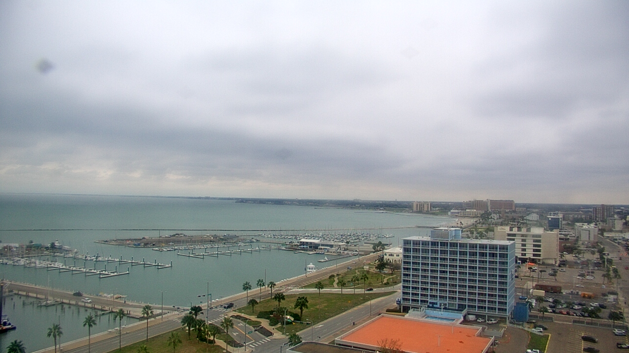 Thumbnail for current weather camera view from First Community Bank in Corpus Christi, Texas