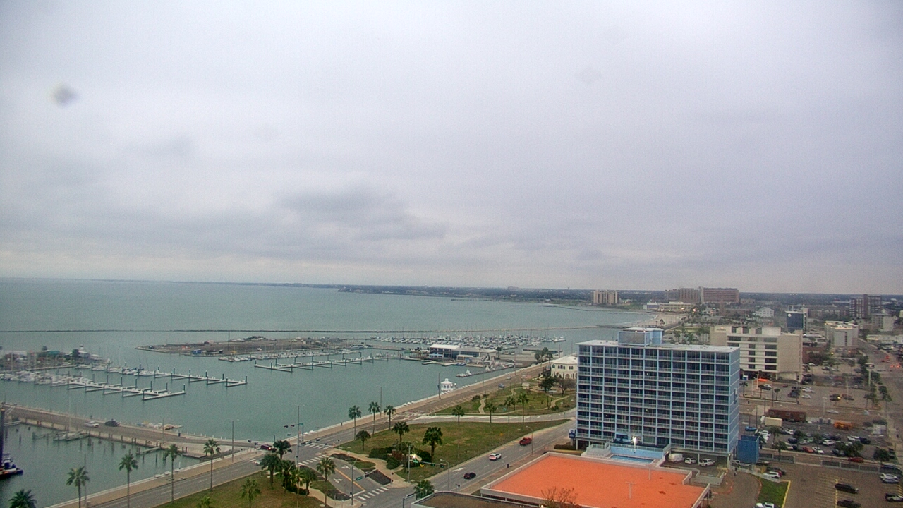 Thumbnail for current weather camera view from First Community Bank in Corpus Christi, Texas