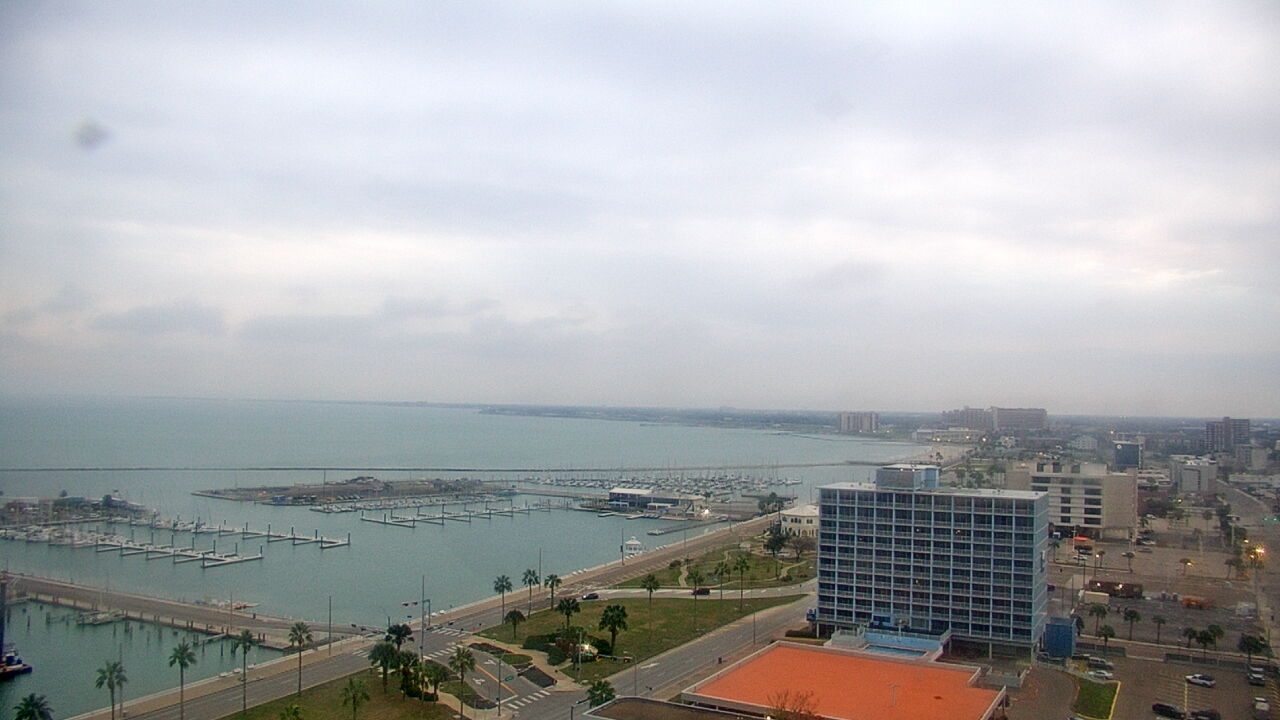 Thumbnail for current weather camera view from First Community Bank in Corpus Christi, Texas