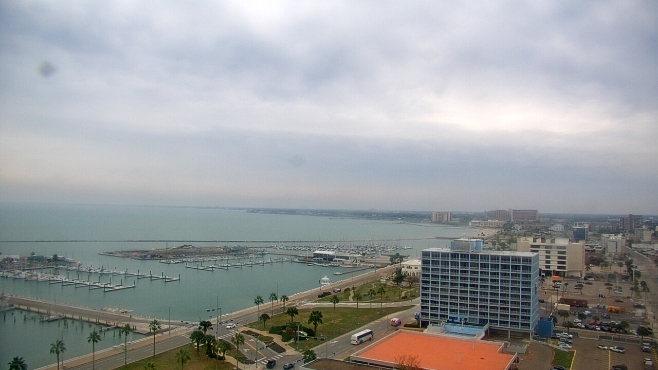 Thumbnail for current weather camera view from First Community Bank in Corpus Christi, Texas