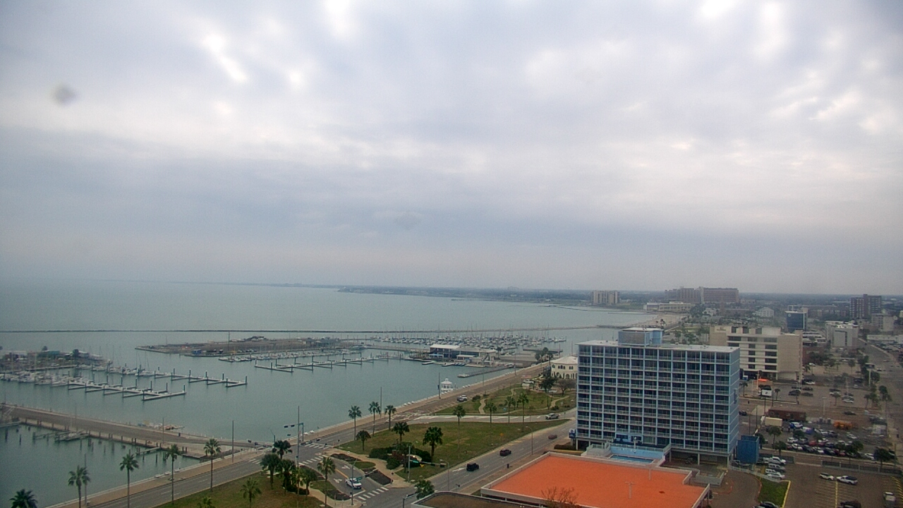 Thumbnail for current weather camera view from First Community Bank in Corpus Christi, Texas