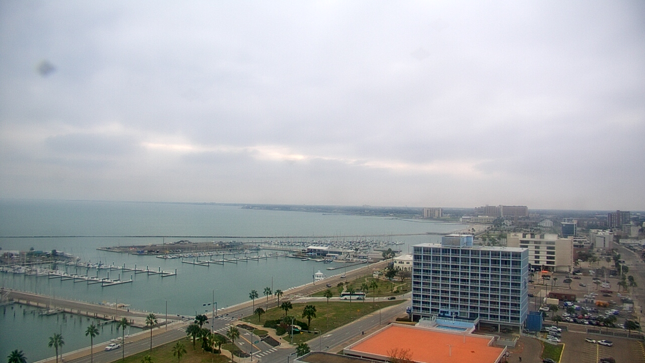 Thumbnail for current weather camera view from First Community Bank in Corpus Christi, Texas