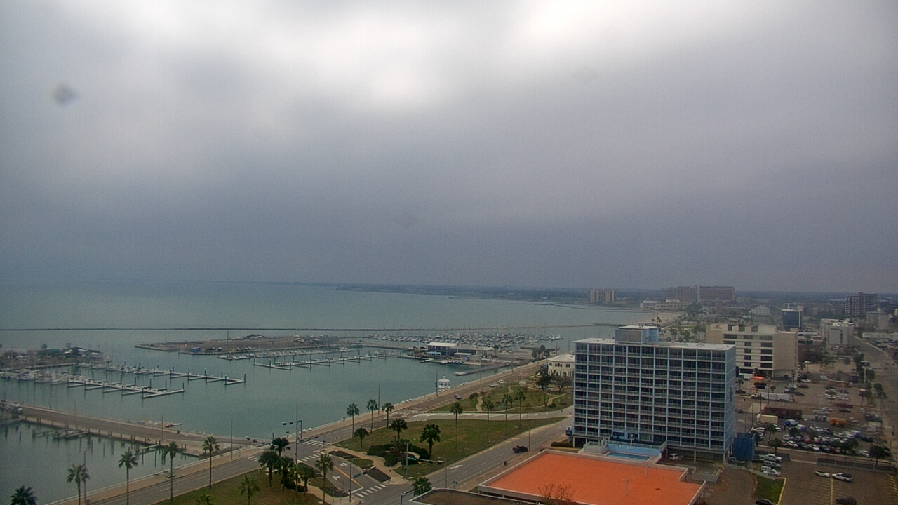 Thumbnail for current weather camera view from First Community Bank in Corpus Christi, Texas