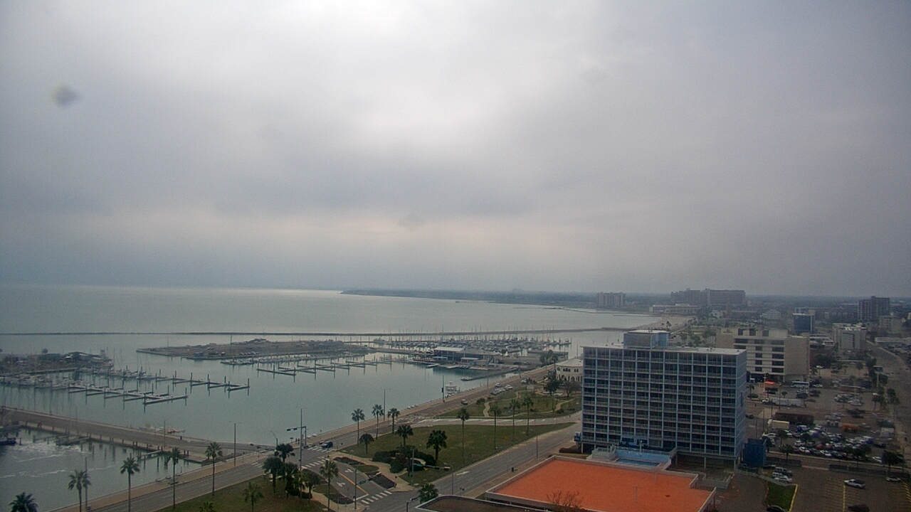 Thumbnail for current weather camera view from First Community Bank in Corpus Christi, Texas