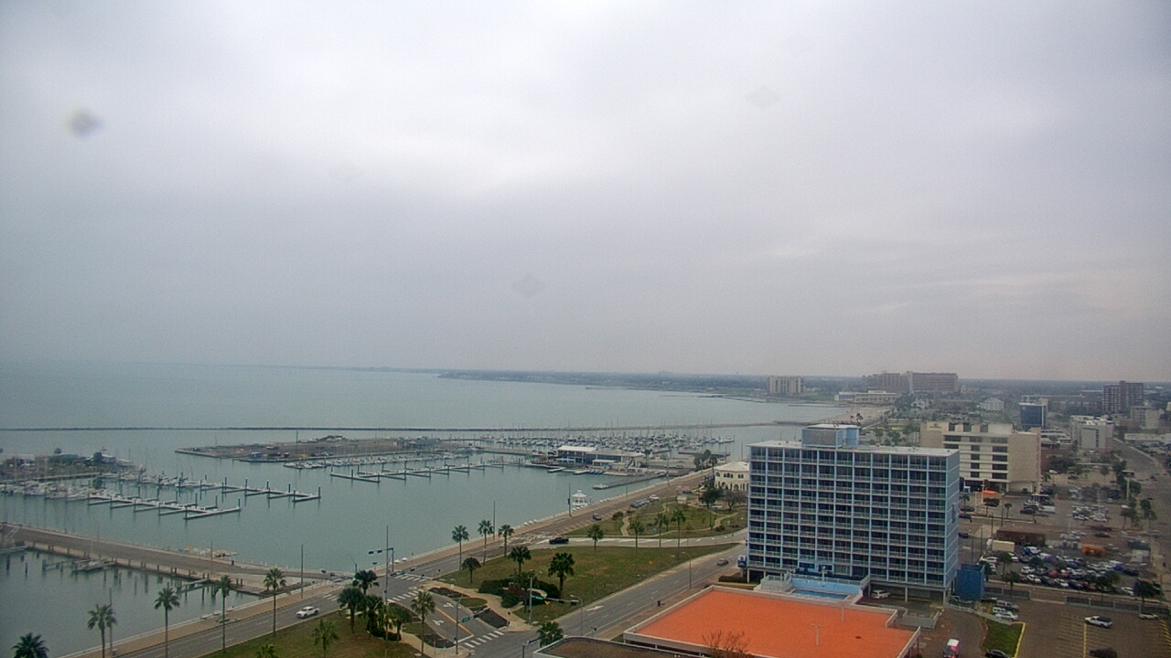 Thumbnail for current weather camera view from First Community Bank in Corpus Christi, Texas