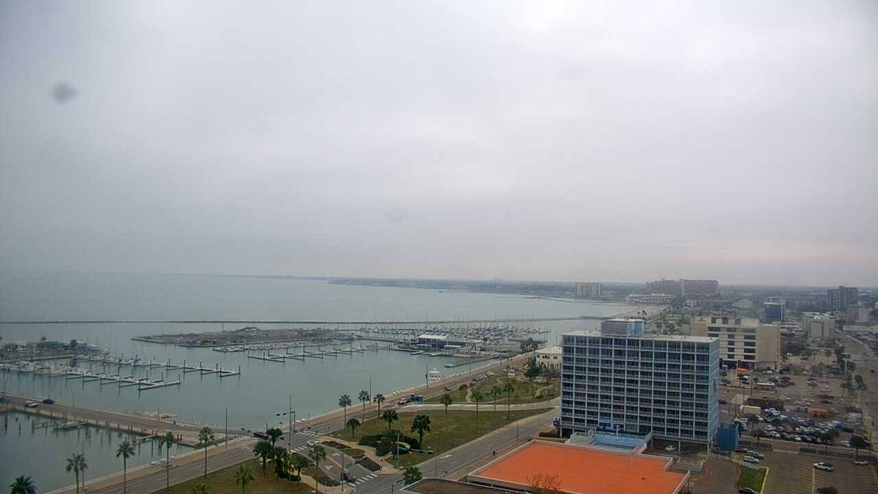 Thumbnail for current weather camera view from First Community Bank in Corpus Christi, Texas