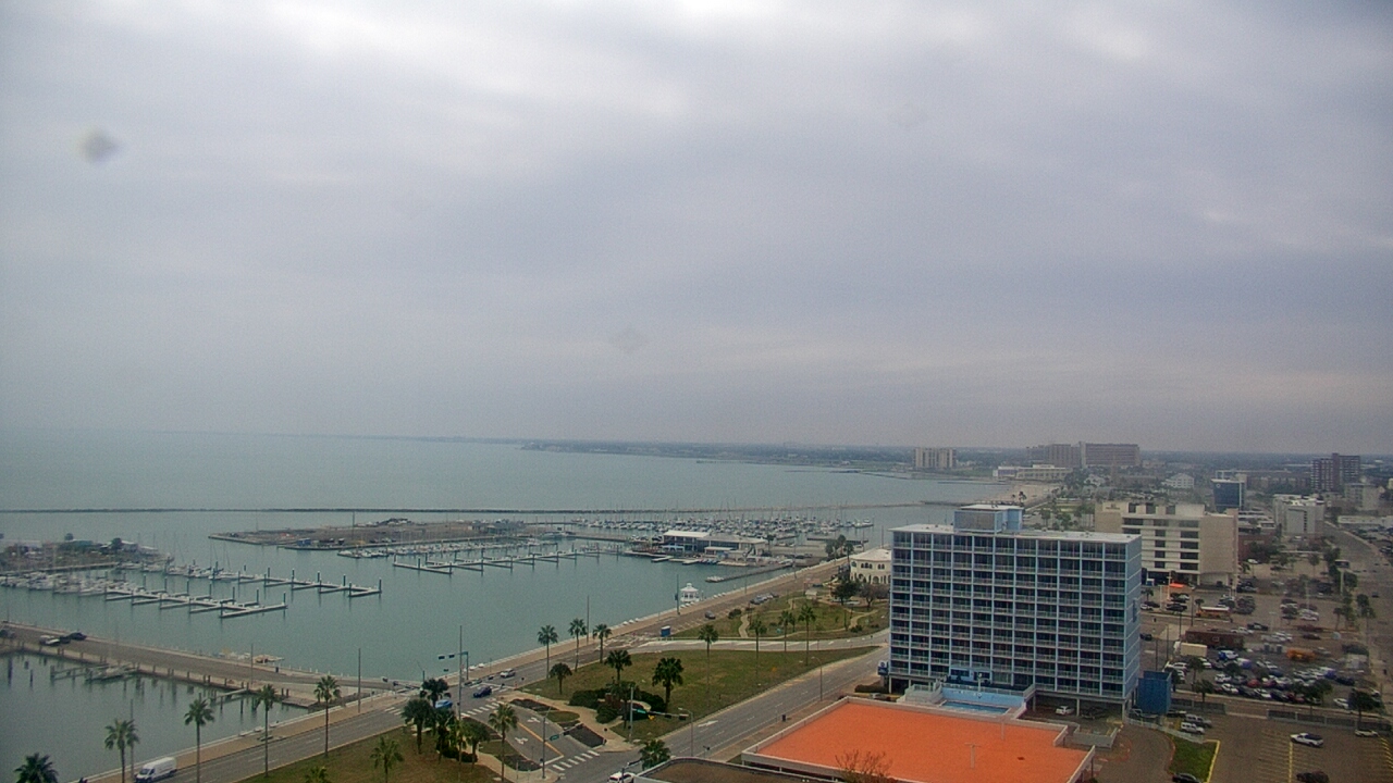 Thumbnail for current weather camera view from First Community Bank in Corpus Christi, Texas