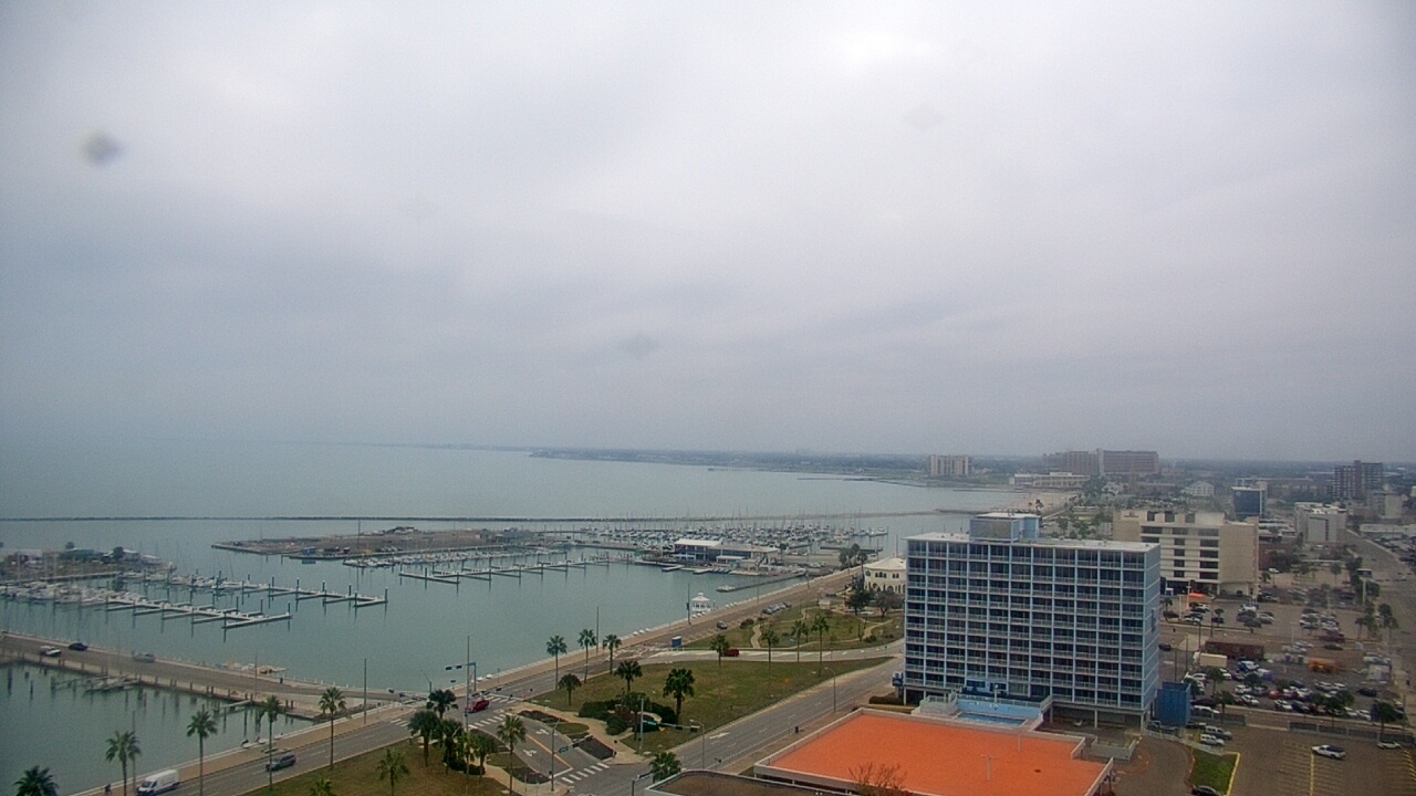 Thumbnail for current weather camera view from First Community Bank in Corpus Christi, Texas