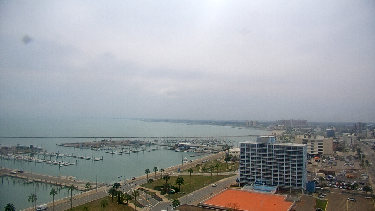Thumbnail for current weather camera view from First Community Bank in Corpus Christi, Texas