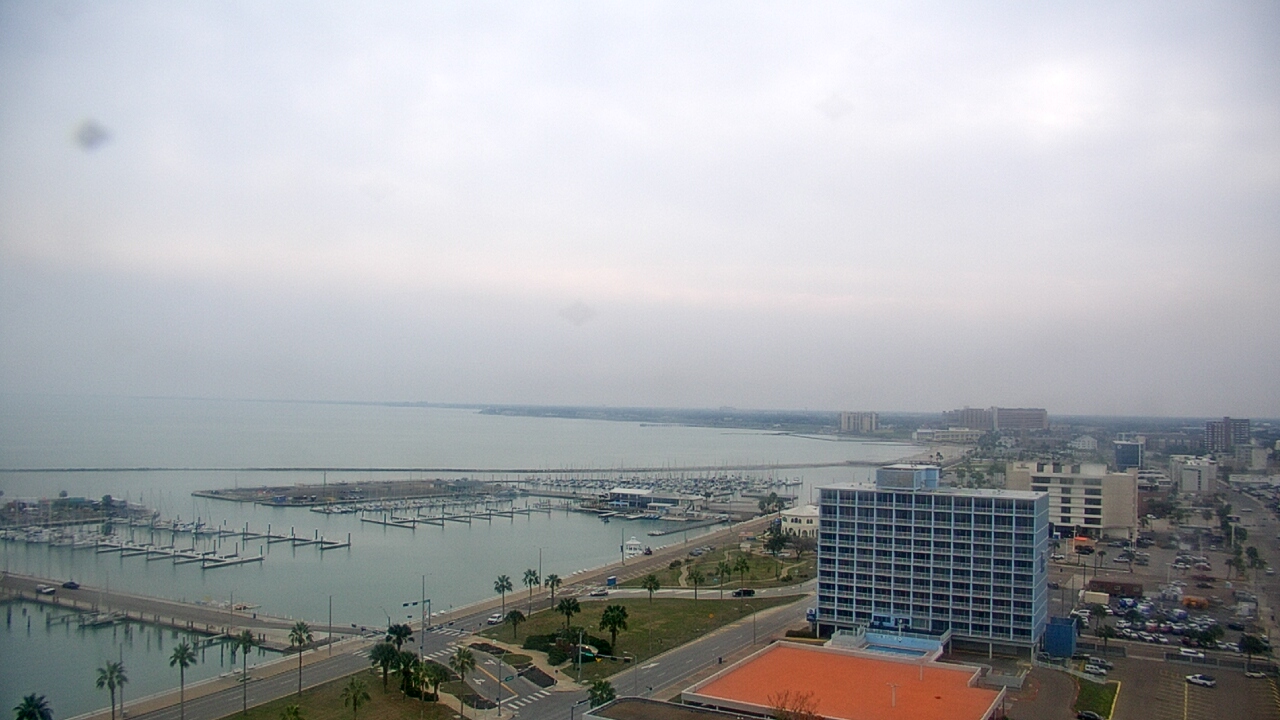 Thumbnail for current weather camera view from First Community Bank in Corpus Christi, Texas