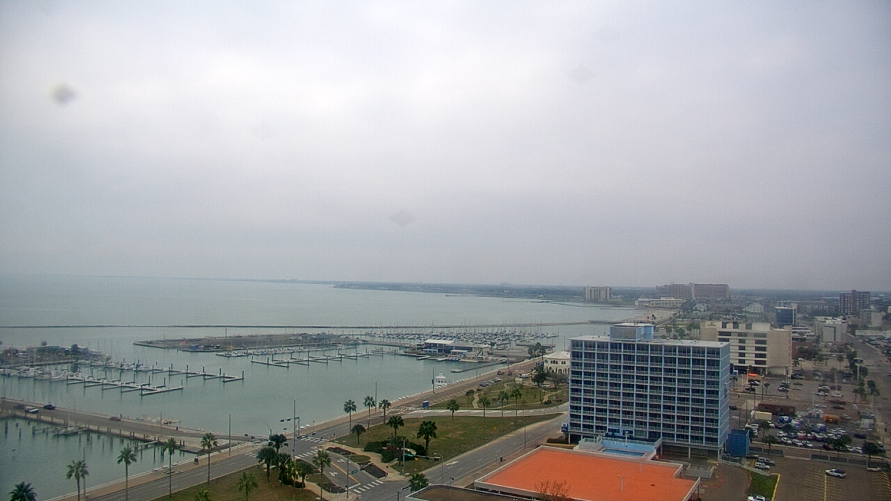 Thumbnail for current weather camera view from First Community Bank in Corpus Christi, Texas