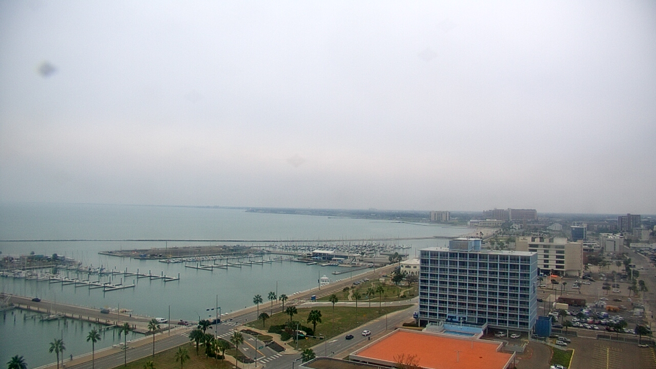 Thumbnail for current weather camera view from First Community Bank in Corpus Christi, Texas