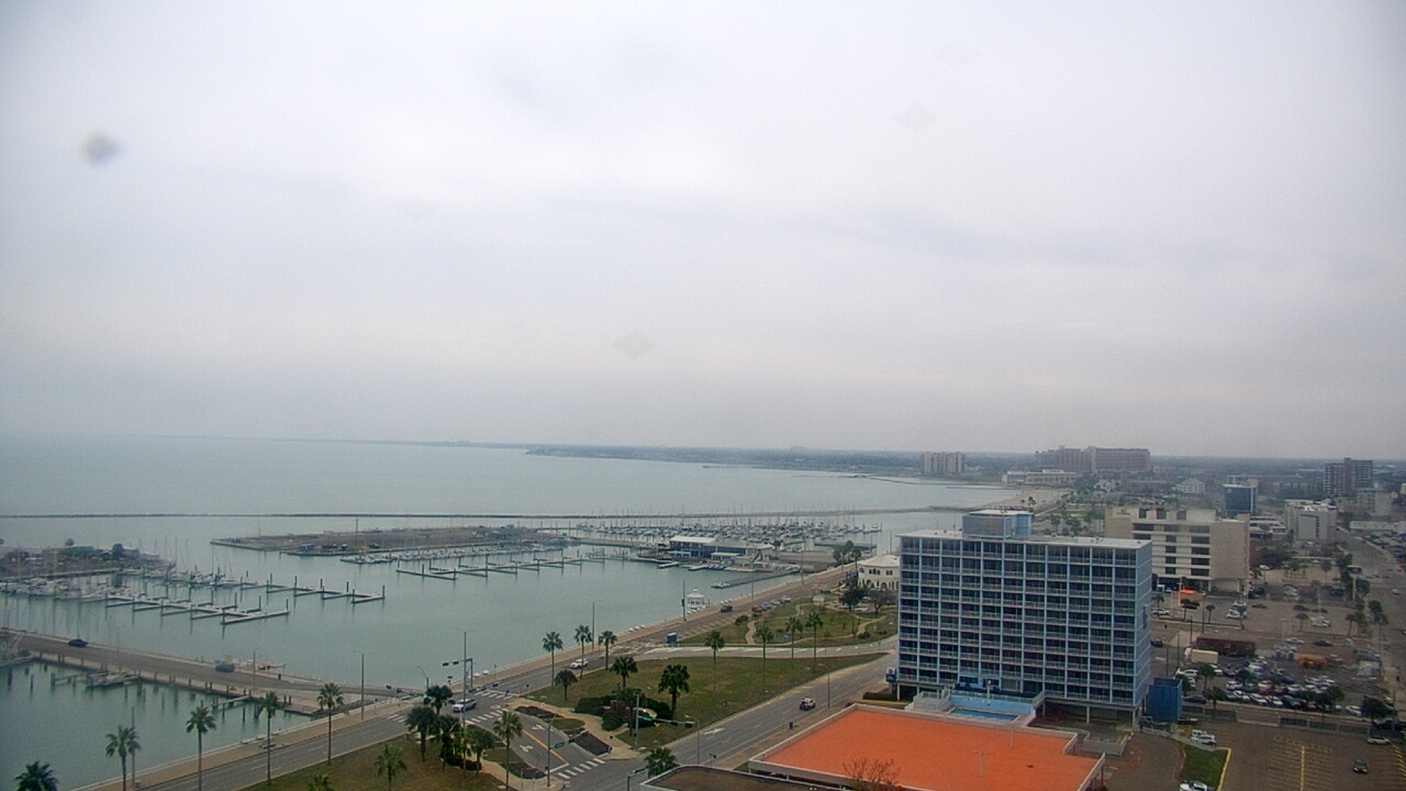 Thumbnail for current weather camera view from First Community Bank in Corpus Christi, Texas