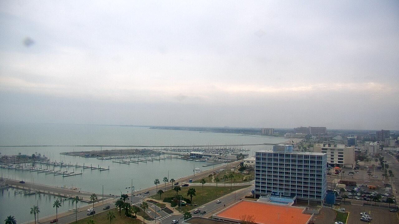 Thumbnail for current weather camera view from First Community Bank in Corpus Christi, Texas
