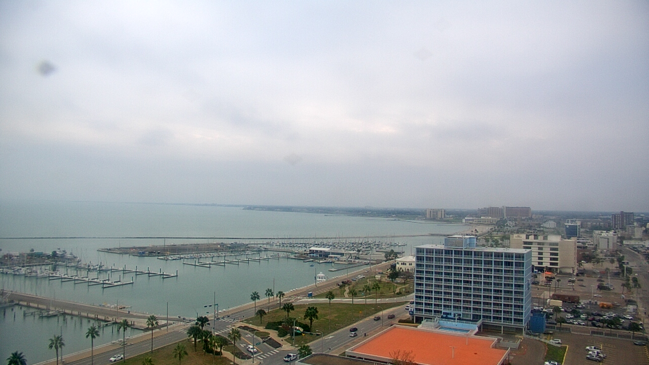Thumbnail for current weather camera view from First Community Bank in Corpus Christi, Texas