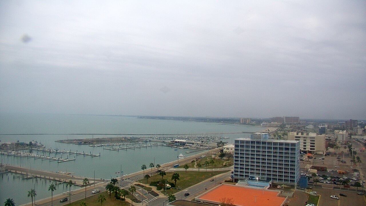 Thumbnail for current weather camera view from First Community Bank in Corpus Christi, Texas