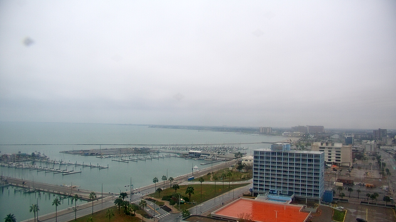 Thumbnail for current weather camera view from First Community Bank in Corpus Christi, Texas