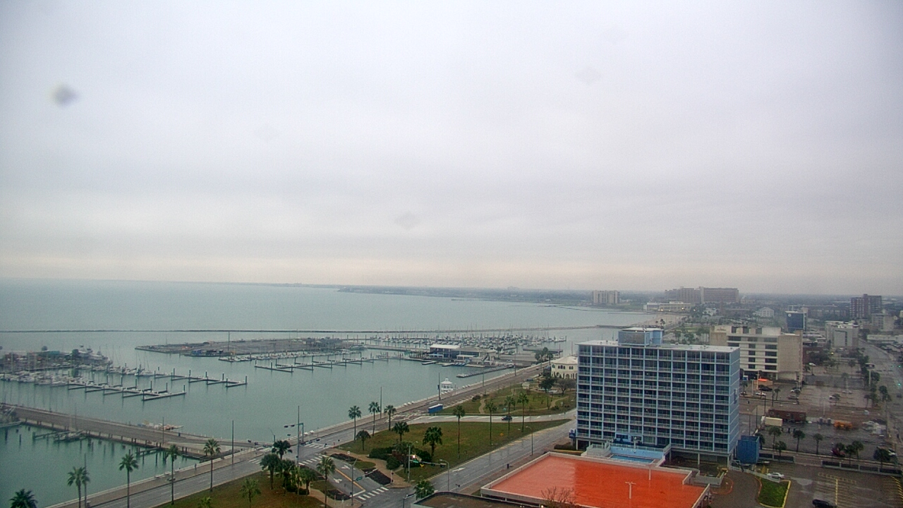 Thumbnail for current weather camera view from First Community Bank in Corpus Christi, Texas