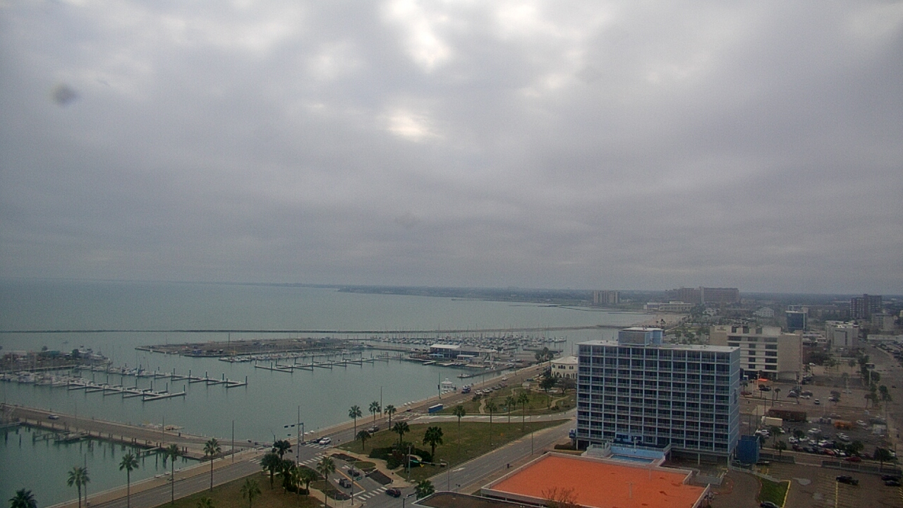 Thumbnail for current weather camera view from First Community Bank in Corpus Christi, Texas